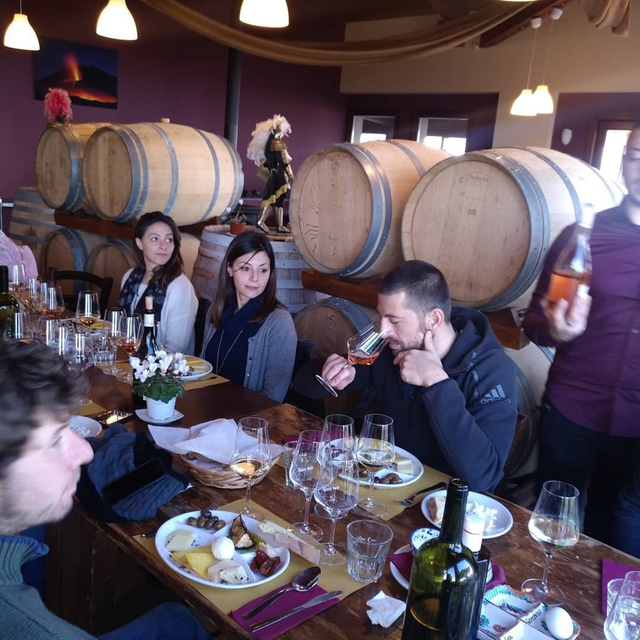 Etna Tour and Lunch + Wine Tasting in a Winery + Taormina Tour - (Private Tour) - immagine 2